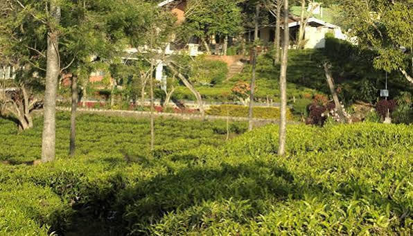 Teanest By Nature Resorts And Stays Coonoor Exterior photo