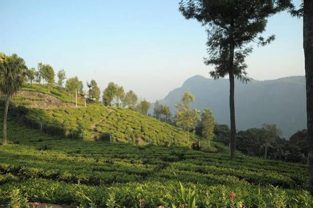 Teanest By Nature Resorts And Stays Coonoor Exterior photo